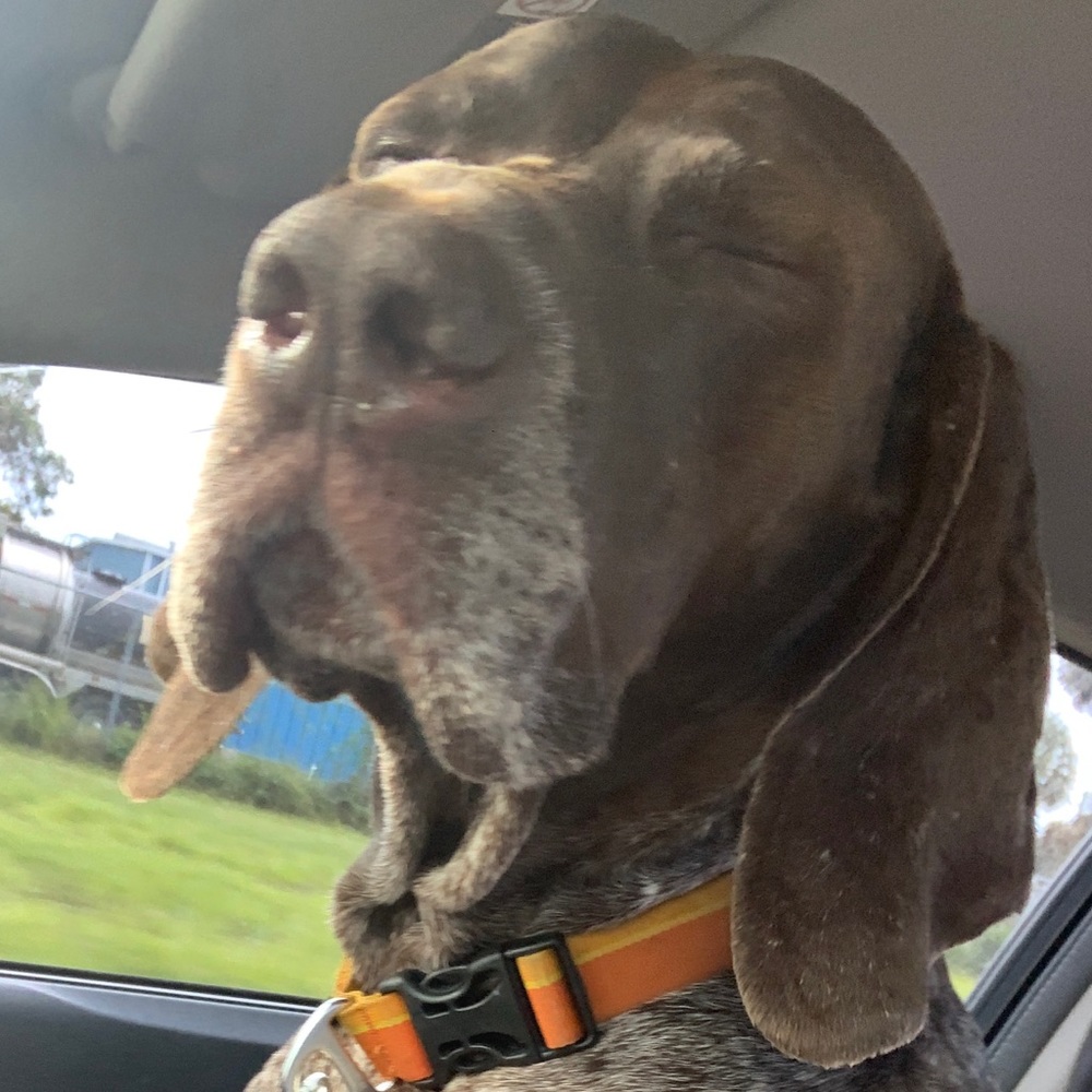 Meet your Posher, Brittany